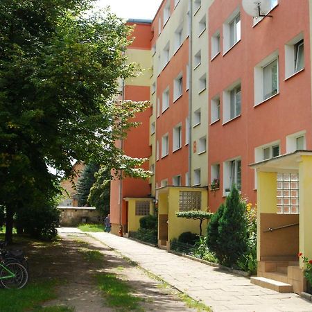Mieszkanie Jelitkowo Гданьск Экстерьер фото